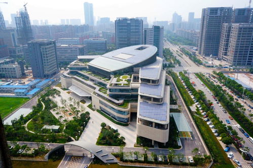 在线配对 建邺与十二生肖的文化交融与技术开发