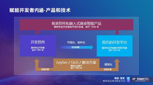 葡萄城发布新使命 赋能开发者，驱动业务创新